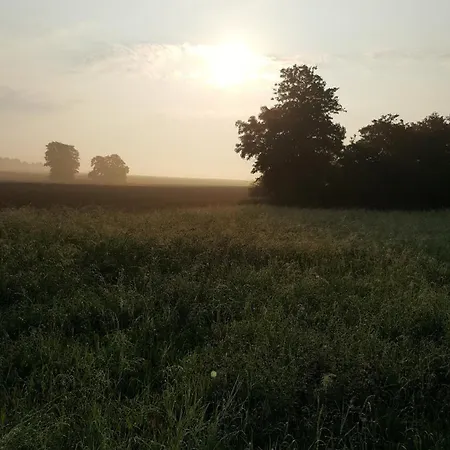 Seenlandschaft Apartment