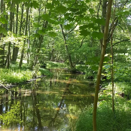 Seenlandschaft Apartment Blankensee (Mecklenburg-Vorpommern)