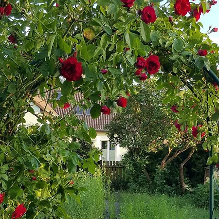 Apartment Seenlandschaft *