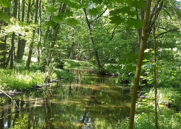 Seenlandschaft Apartamento Blankensee (Mecklenburg-Vorpommern)