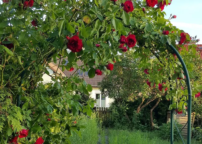 Apartamento Seenlandschaft *